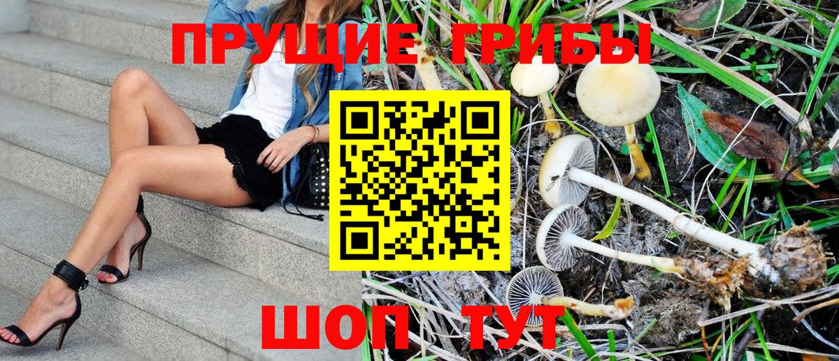 Анжеро-Судженск  Галлюциногенные грибы MAGIC MUSHROOMS  купить наркоту  Вход с VPN 