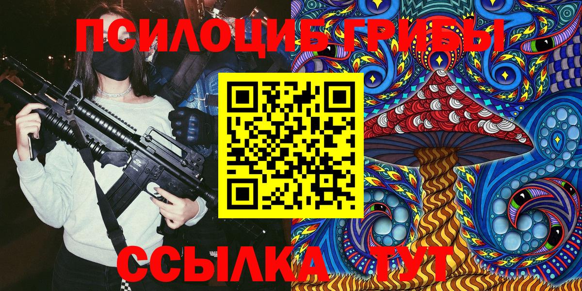 Галлюциногенные грибы Cubensis Анжеро-Судженск