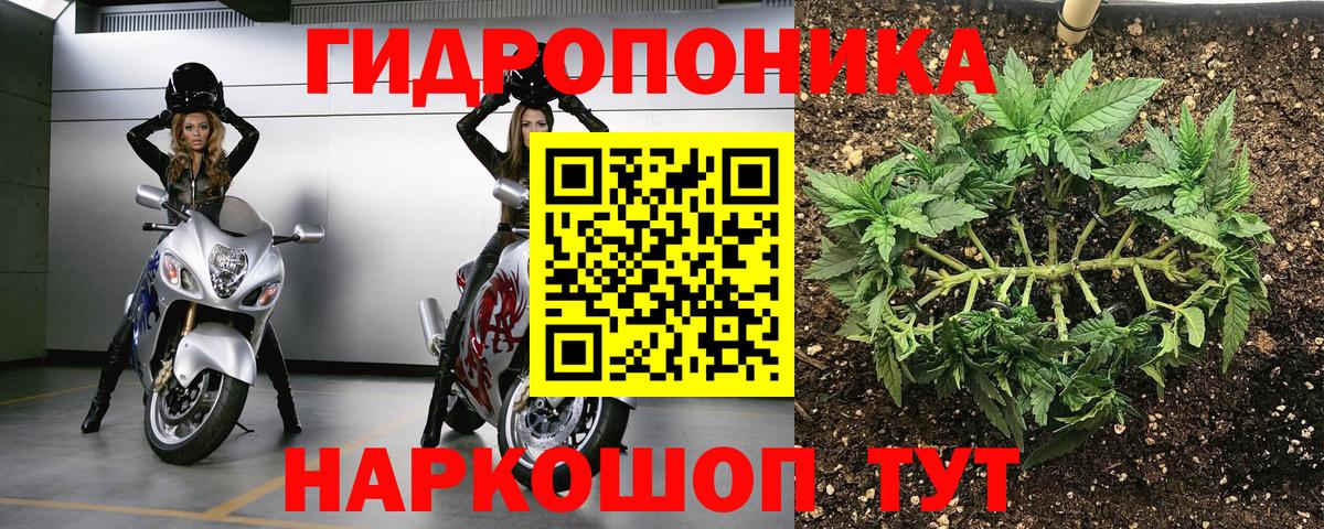 Канабис ГИДРОПОН Анжеро-Судженск
